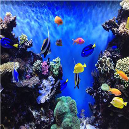 海灣水族宮.jpg