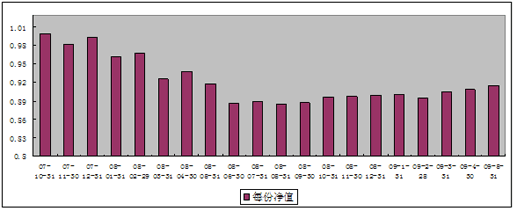 中信理財之基金計劃6號（理財編碼：P07B10101）2009年5月投資公告