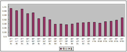 中信理財之基金計劃6號（理財編碼：P07B10101）2009年6月投資公告
