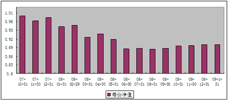 中信理財之基金計劃6號（理財編碼：P07B10101）2009年1月投資公告