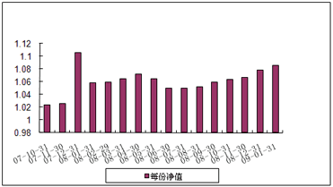 中信理財之基金計劃5號（理財編碼：P07A10101）2009年1月投資公告