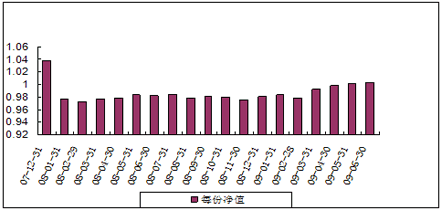 中信理財之基金計劃8號（理財編碼：P07C30101）2009年6月投資公告