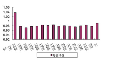 中信理財之基金計劃8號（理財編碼：P07C30101）2009年3月投資公告