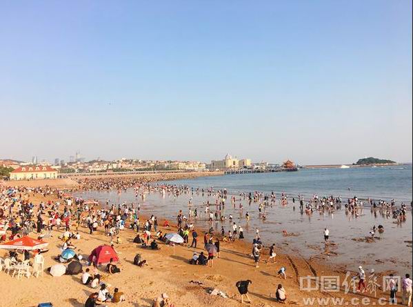 說明: IMG_256