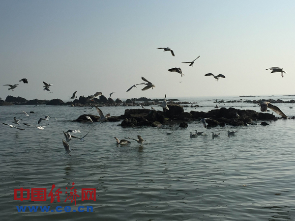 說明: IMG_257